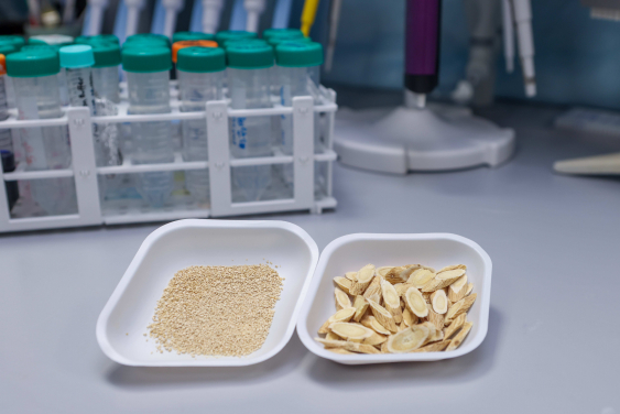 Astragali radix extracts (left) and slices (right).